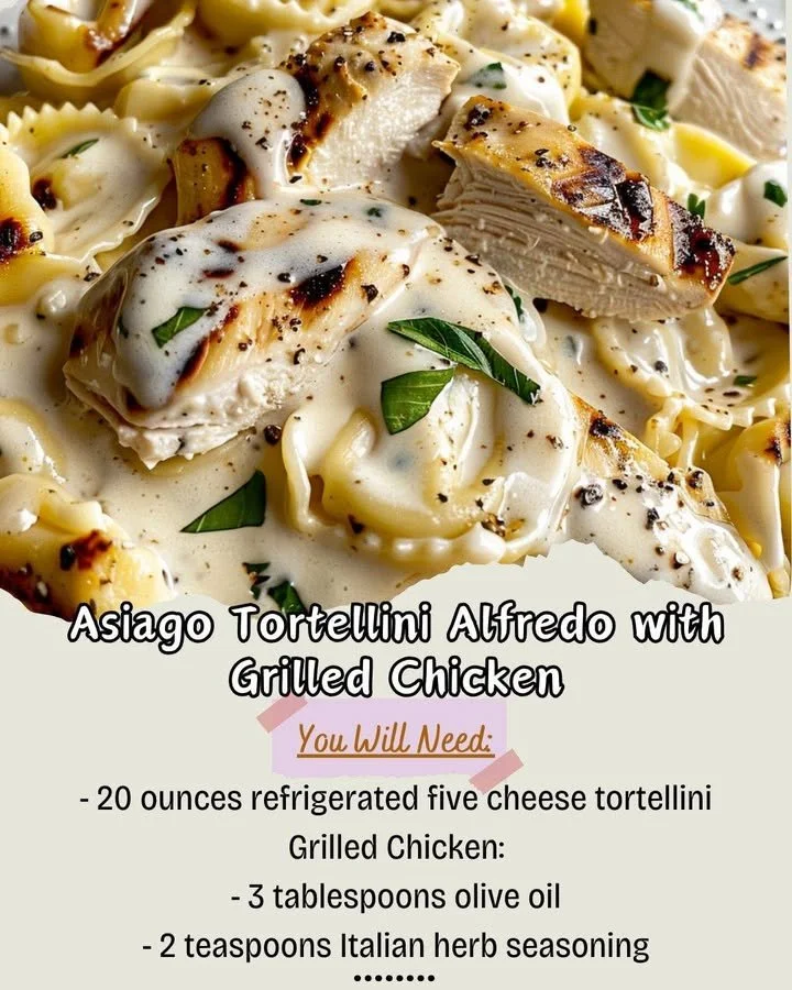 Delicious Asiago Tortellini Alfredo topped with grilled chicken and herbs
