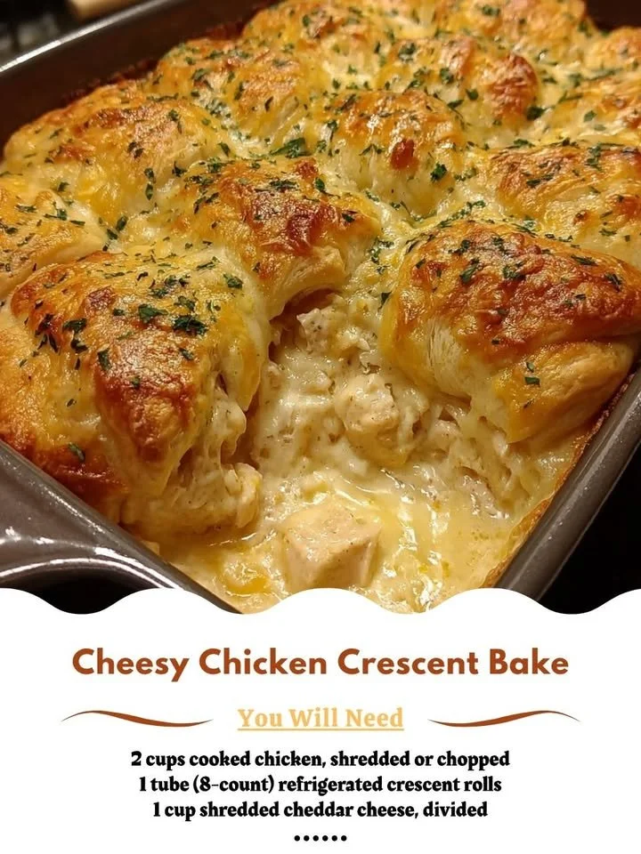 Delicious Cheesy Chicken Crescent Bake served on a plate