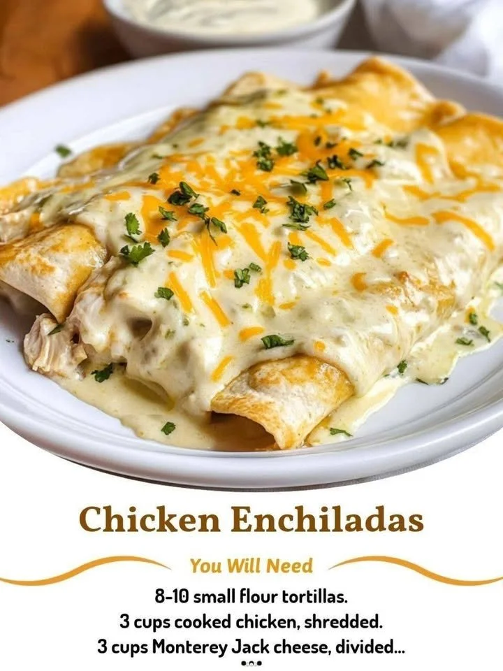Delicious chicken enchiladas with creamy sour cream white sauce on a plate