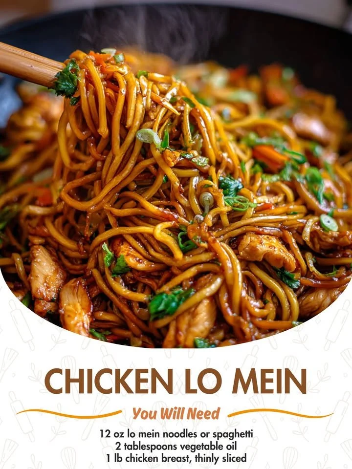 Plate of Chicken Lo Mein with vegetables and tender chicken