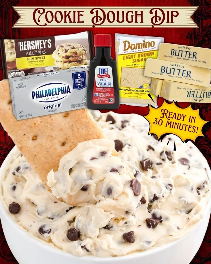 Delicious cookie dough dip served with graham crackers and chocolate chips