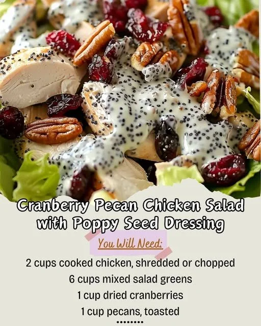 Cranberry Pecan Chicken Salad with Poppy Seed Dressing in a bowl