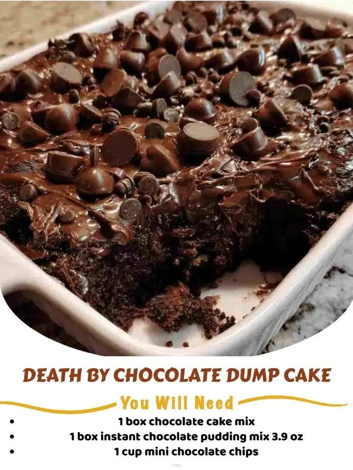 Decadent Death by Chocolate Dump Cake topped with chocolate and whipped cream