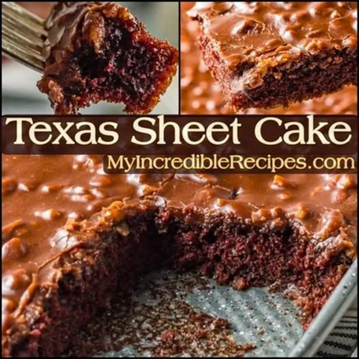 Delicious serving of Incredible Texas Sheet Cake with chocolate frosting