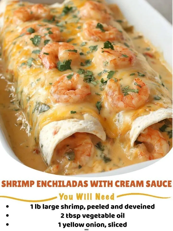 Plate of shrimp enchiladas topped with creamy sauce and garnished with cilantro.
